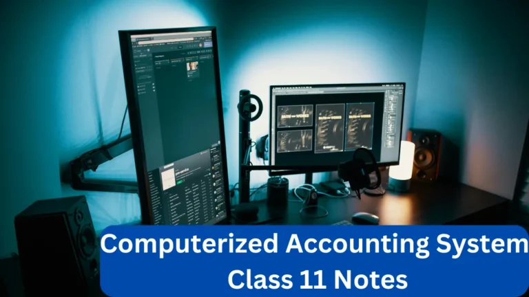 Computerized Accounting System Class 11 Notes