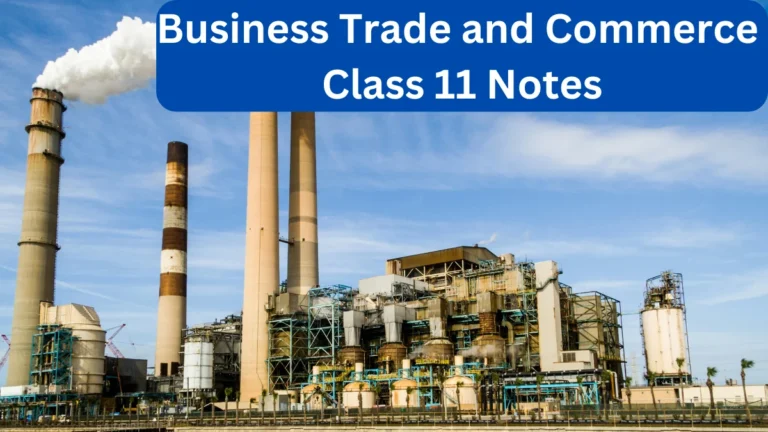 Business Trade and Commerce Class 11 Notes