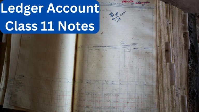 Ledger Account Class 11 Notes