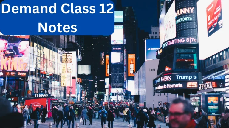 Demand Class 11 Notes