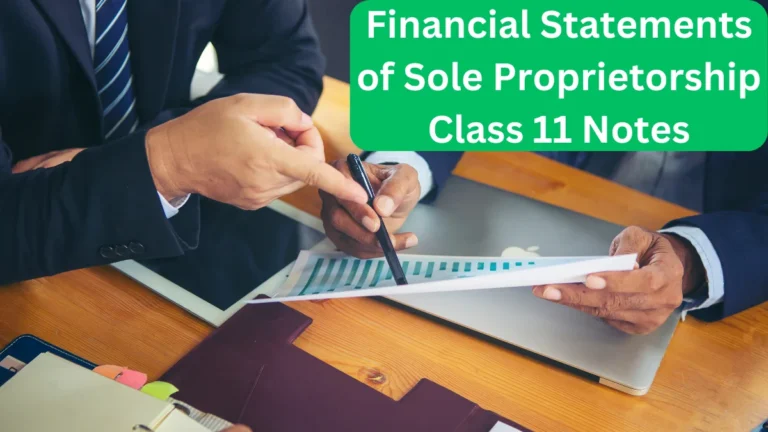 Financial Statements of Sole Proprietorship Class 11 Notes