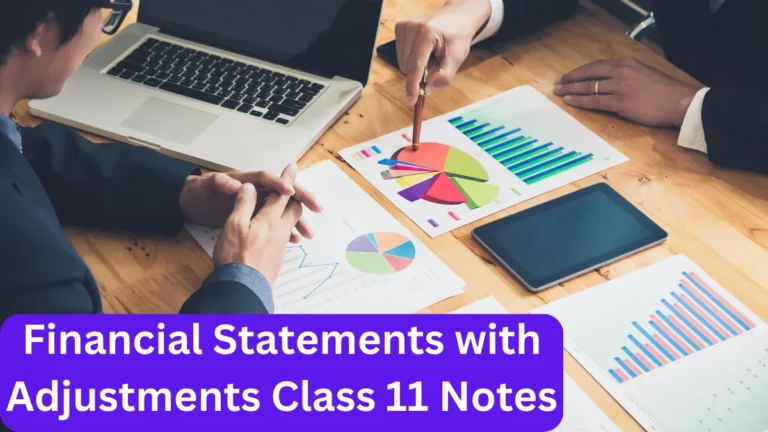 Financial Statements with Adjustments Class 11 Notes