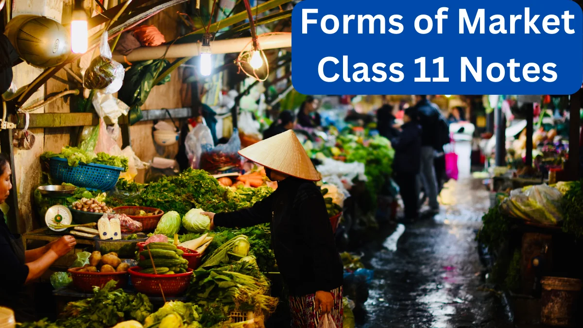 forms-of-market-class-11-notes-economics-commerce-clarity