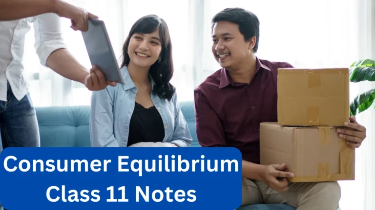 Consumer Equilibrium Class 11 Notes