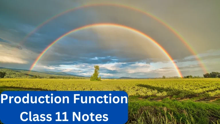 Production Function Class 11 Notes