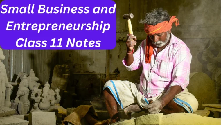 Small Business and Entrepreneurship Class 11 Notes