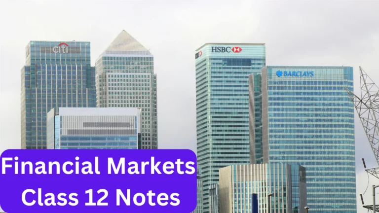 Financial Markets Class 12 Notes