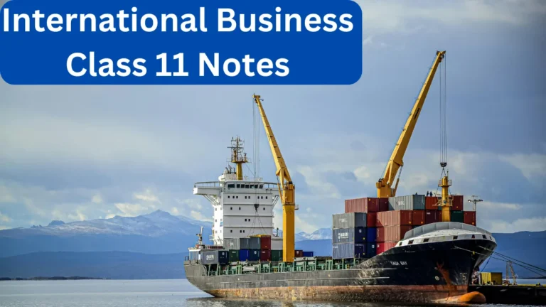 International Business Class 11 Notes