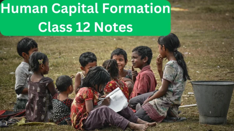Human Capital Formation Class 12 Notes