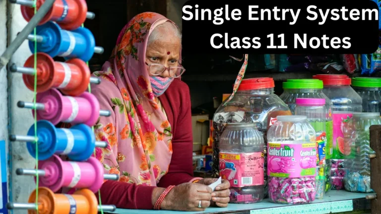 Single Entry System Class 11 Notes