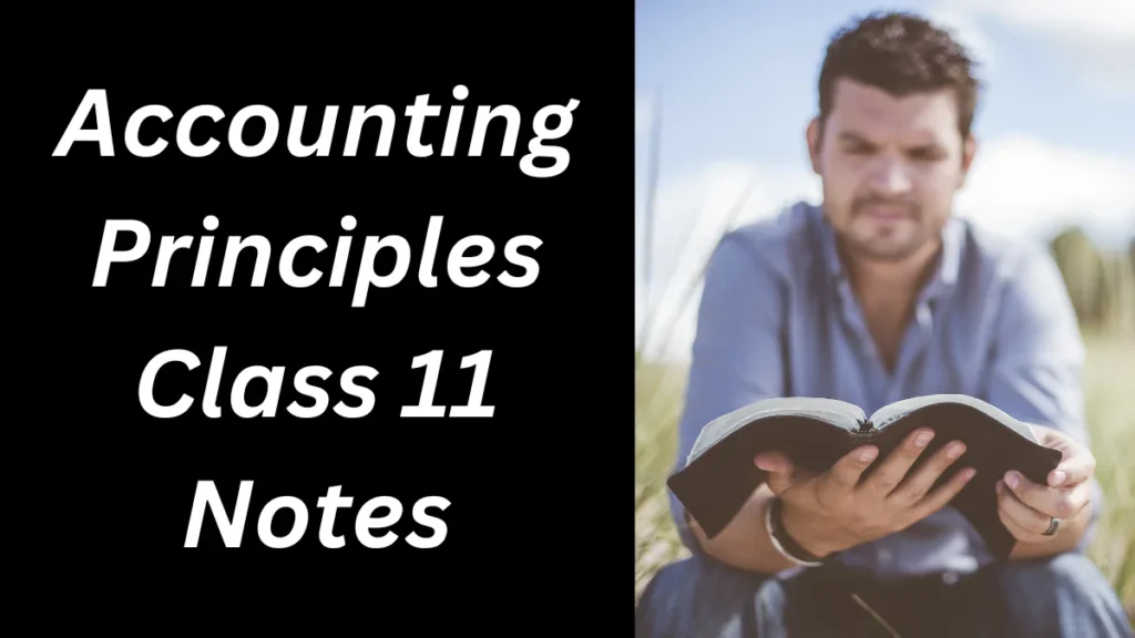 Accounting Principles Class 11 Notes