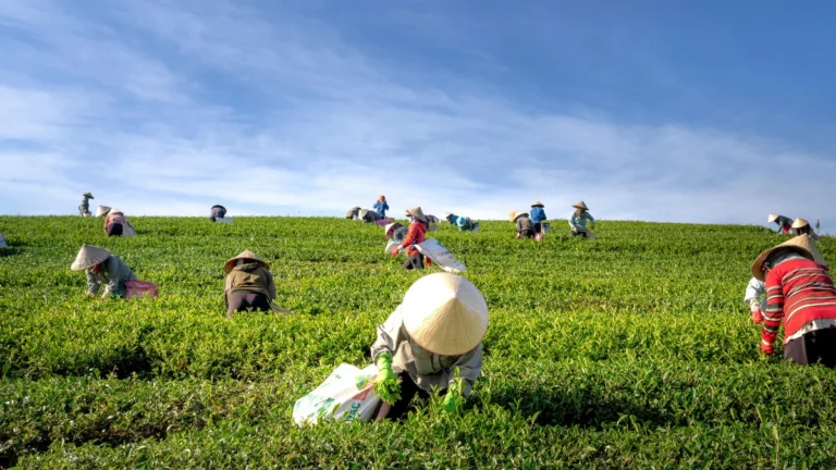 Production Function Class 11 Important Questions