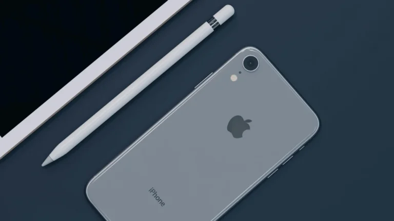 Introduction to Microeconomics Class 11 Important Questions