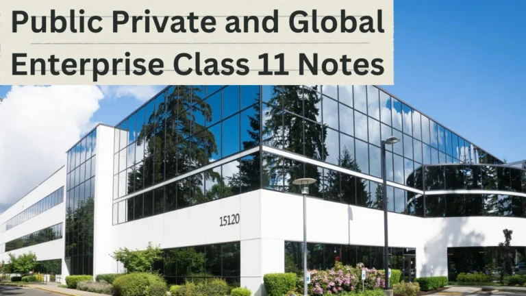 Public Private and Global Enterprises Class 11 notes