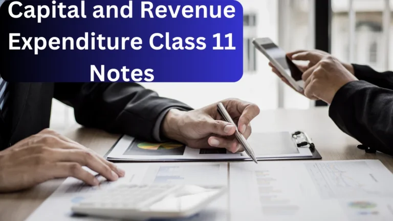 Capital and Revenue Class 11 Notes