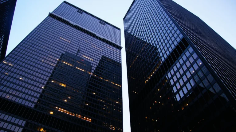 Formation of a Company Class 11 Important Questions