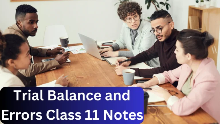 trial balance and errors class 11 notes