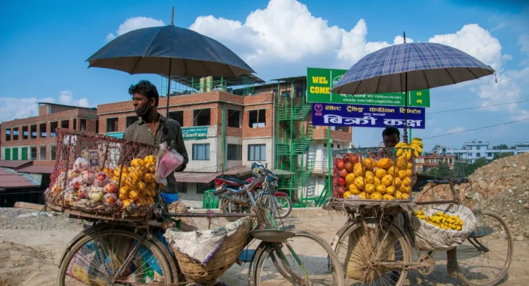 Internal Trade Class 11 Notes